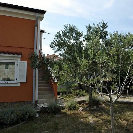 Apartman Branka Kornić Kültér fotó